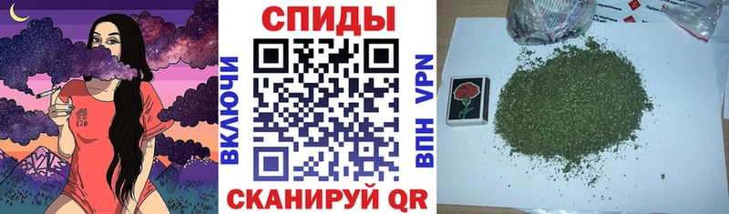Купить  Зеленогорск  БУТИРАТ Butirat 