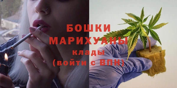 МДПВ Ельня