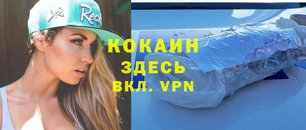 МДПВ Ельня