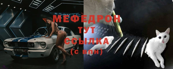 МДПВ Ельня