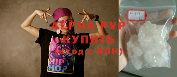 МДПВ Ельня