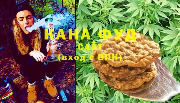 МДПВ Ельня