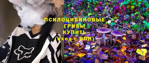 МДПВ Ельня