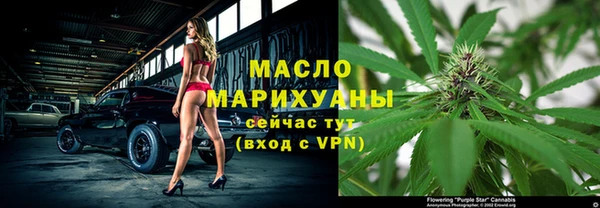 МДПВ Ельня